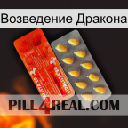 Возведение Дракона new01